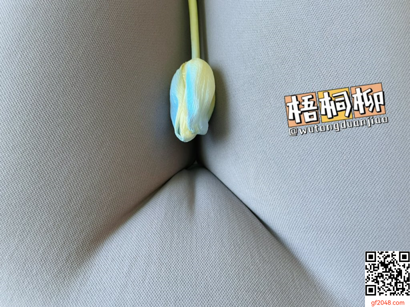 顶级白富美，炸裂身材反差婊，与炮友玩一路干一路[23P]