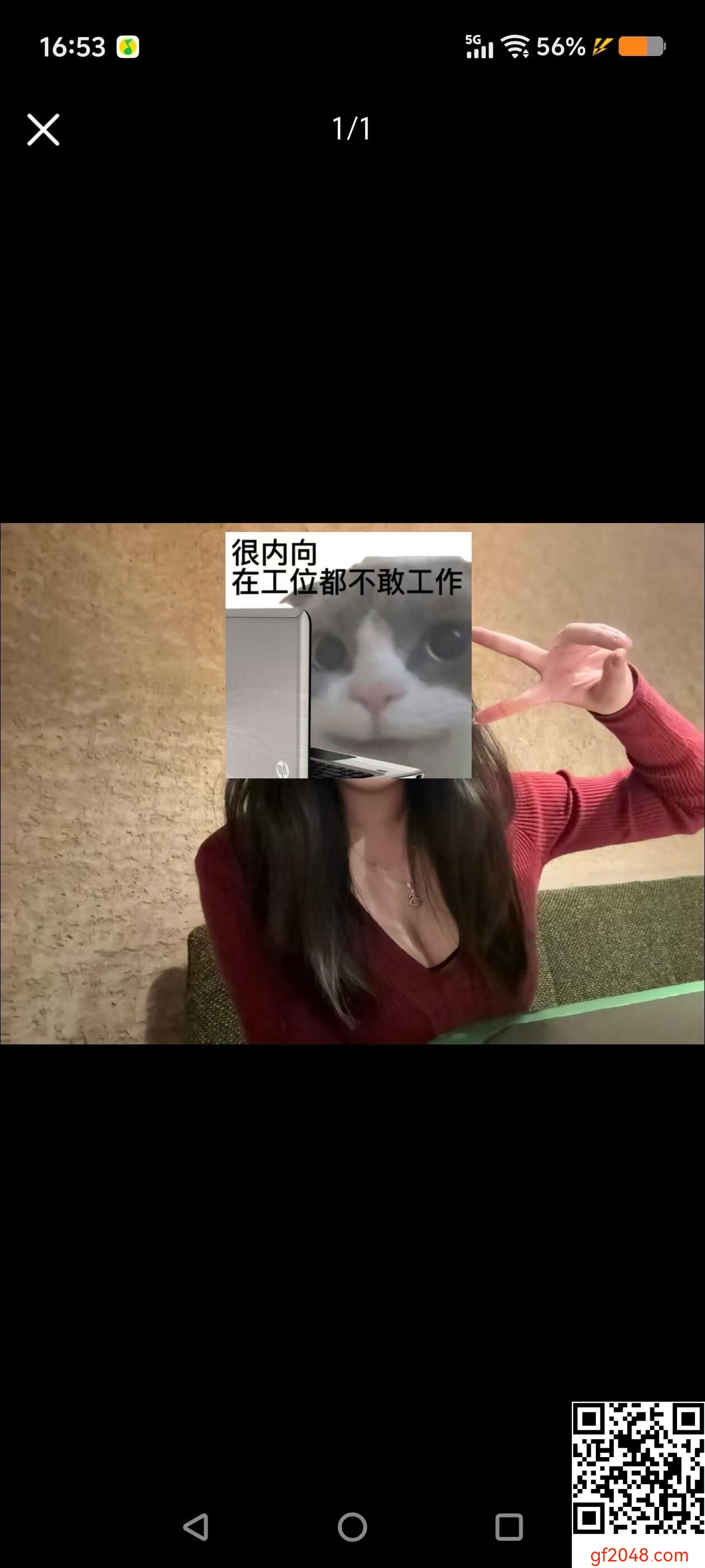 [虎哥代发]029的19大一母狗寻帅气绿主开发，可塑性强，大奶无脑，有意私信[10P]