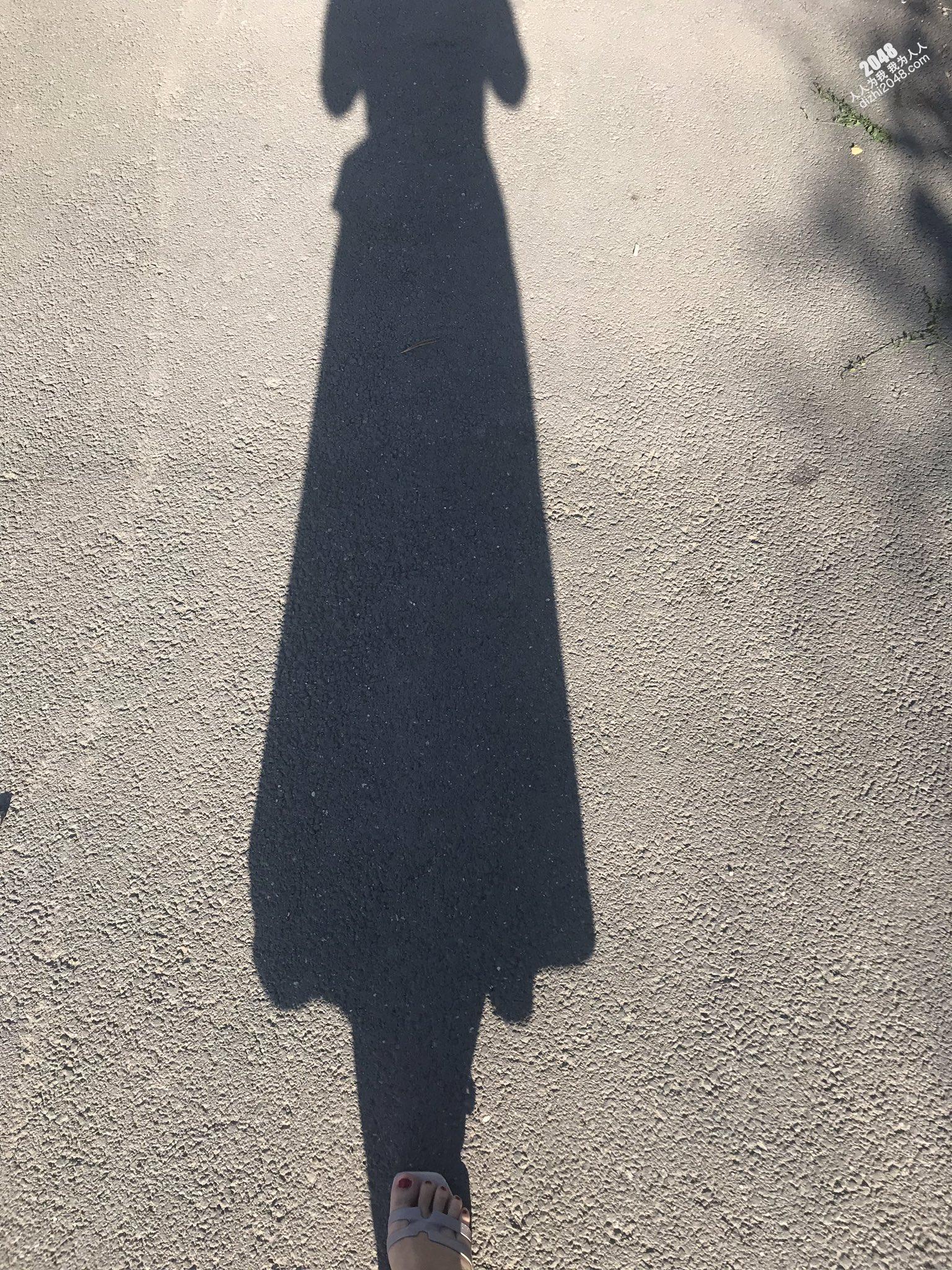 娇妻跪下去就立马变成臣服于主人的骚贱小母狗，最大限度的撅着屁股被后入30P