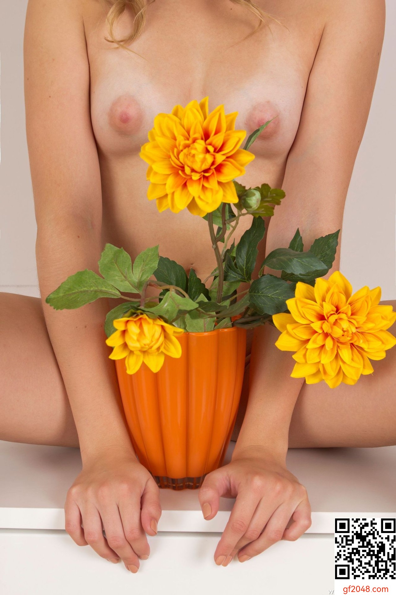 [Femjoy] Vanessa O - Premiere - 99P