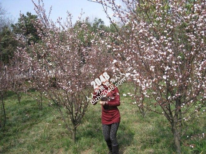 看着好年轻【27P】
