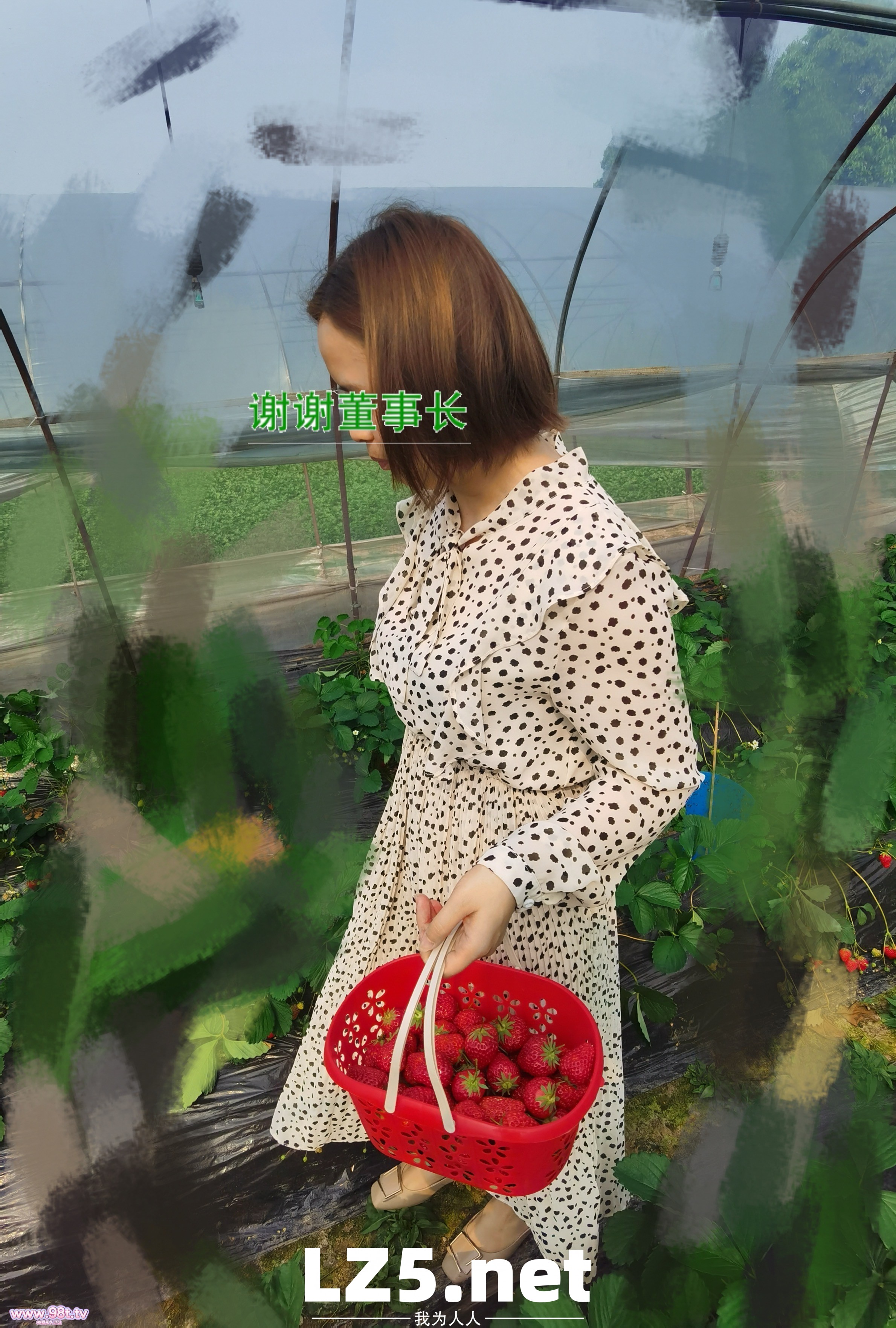 【最爱人妻四】颜值人妻、最后的圆媛喜欢生活更爱生活【生活照露脸+40P】