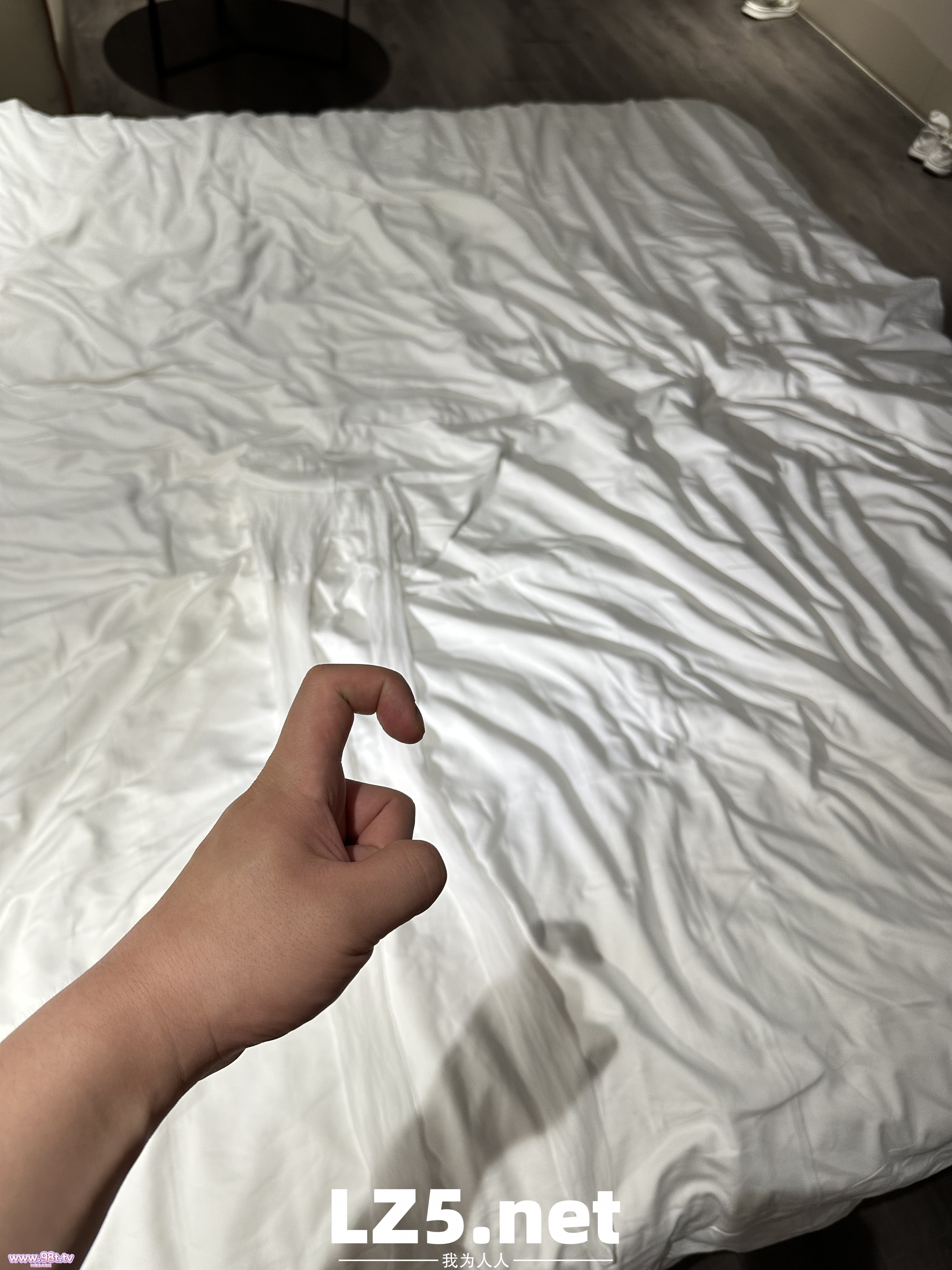 我的护士小母狗（十一）【14P+手势验证】