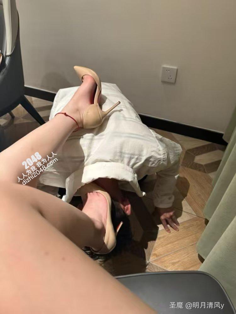 丝袜美腿 15P