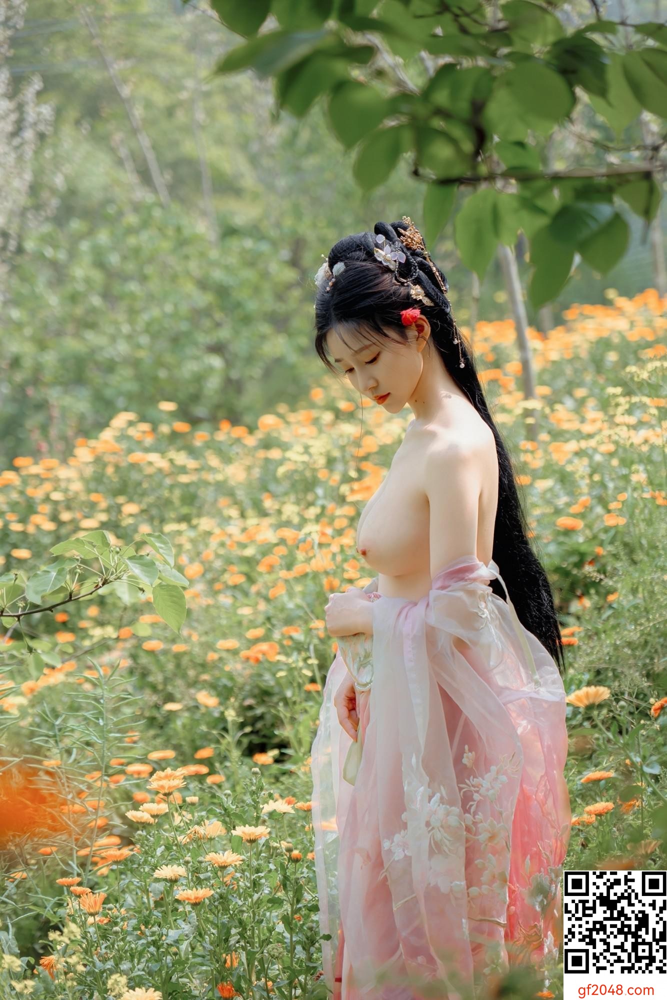 年年 – 海棠仙 (56P)