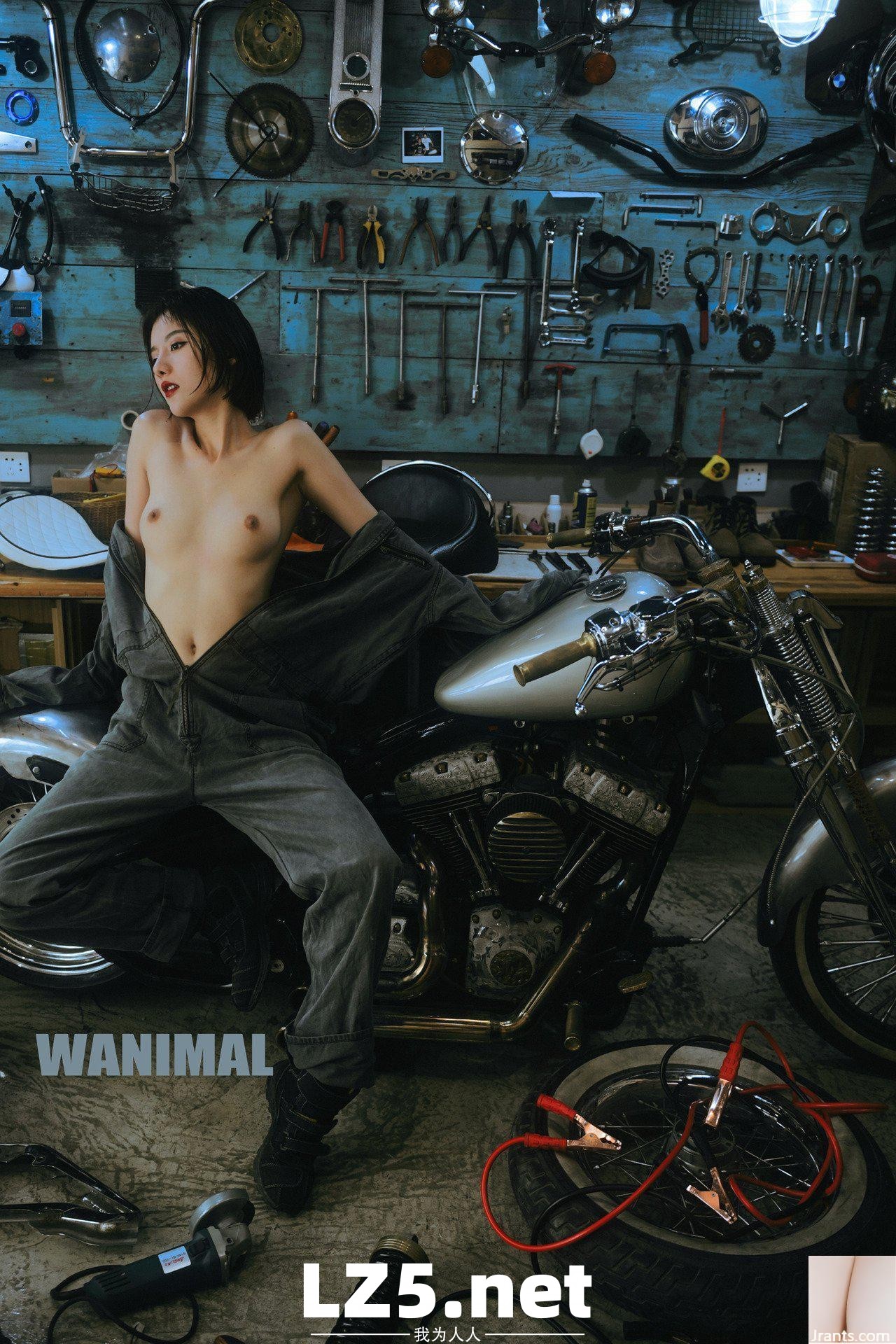 [王動作品] WANIMAL Tumblr寫真第收集(110)  (50P)