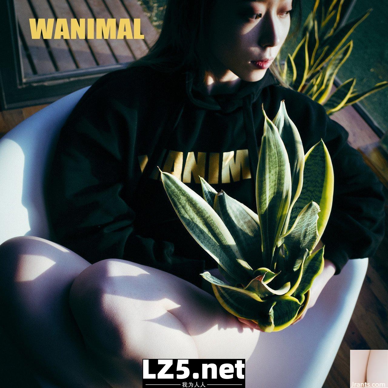 [王動作品] WANIMAL Tumblr寫真(120)  (48P)