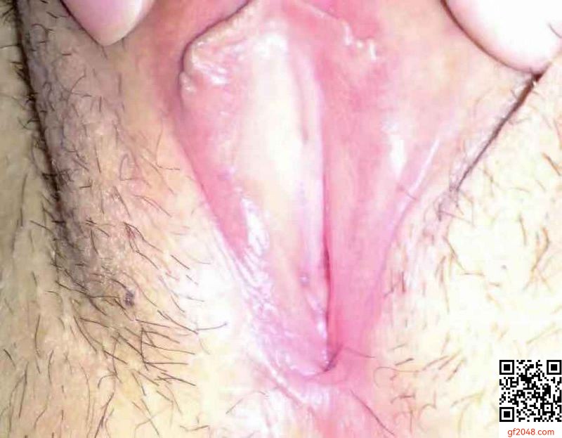 肥美的鮑魚